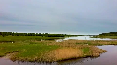 Dron fly 13 Stock Footage 133313922