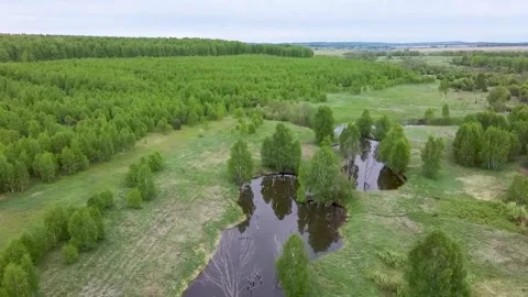 Dron fly 16 Stock Footage 133313865