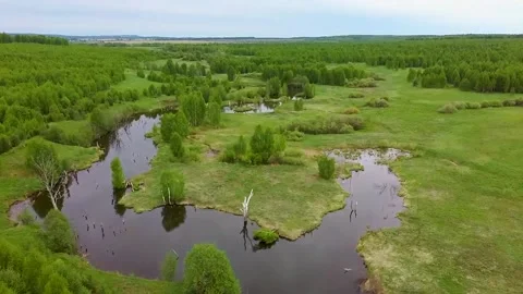 Dron fly 7 Stock Footage 133313888