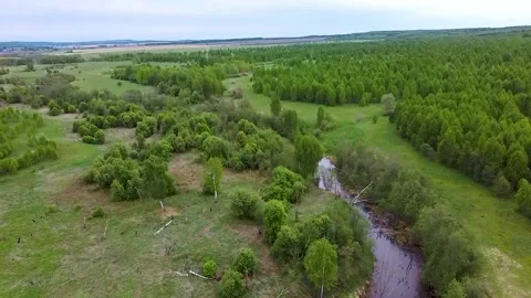 Dron fly Stock Footage 133313870