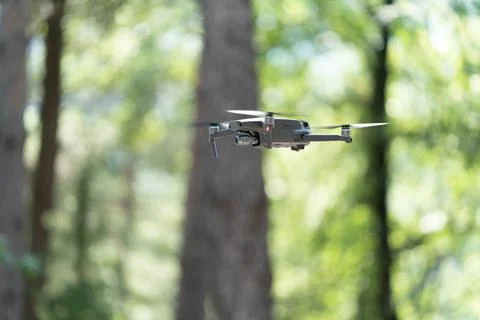 Dron flying between the trees in the woods Stock Photos