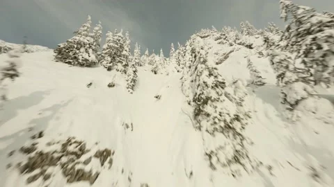 Dron flying through snowy trees, up to top of the mountain, winter Stock Footage 203853798