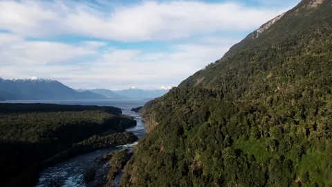 Dron landscapes river between forest Stock Footage 292034453