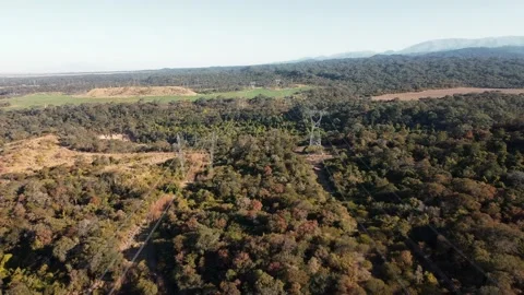 Dron shot above forest and power lines in Argentina Stock Footage 220445018