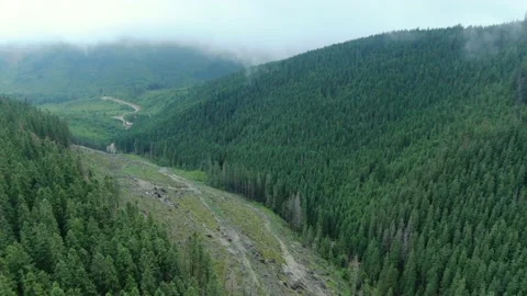 Dron shot of the terrible deforestation in the Carpathian Mountains. Environm Stock Footage 168660880