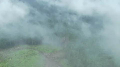 Dron shot through the clouds of the woods and mountains. Carpathian Mountains Video stock 168747983