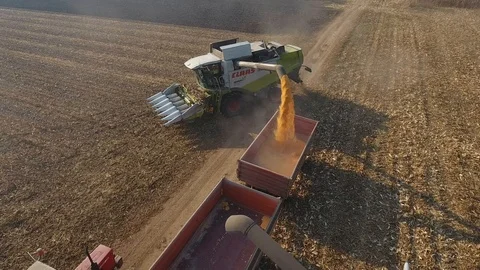 Dron Shot Of Two Harvesters Unload Corn 動画素材 126996466