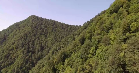 Dron view Qabala Ski resort Video stock 97735512
