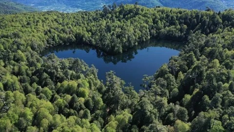 Dron view of real heart shape lagoon in Chile. Laguna coraszon in region Los Stock Footage 246651630