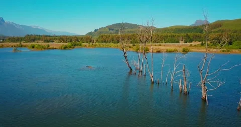 Dron view of river and lake Video stock 140337145