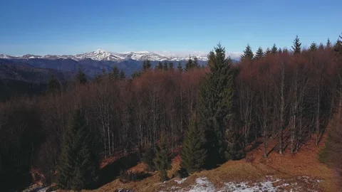 Drone 1 Stock Footage 168254028