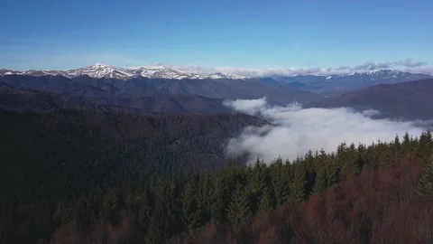 Drone 2 動画素材 168254026