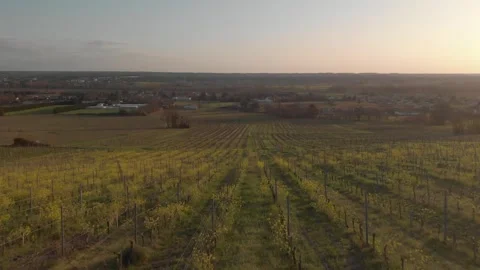 Drone 2 - Gironde Stock Footage 284120684