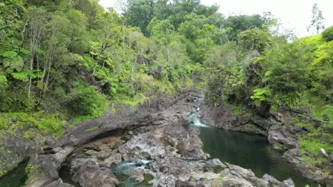 Drone 35 Stock Footage 242538139