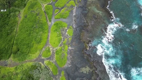 Drone 37 Stock Footage 242537671