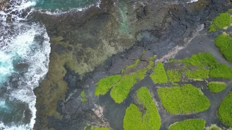 Drone 39 Stock Footage 242538219