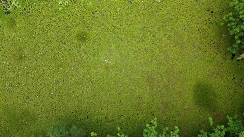 Drone 49 Stock Footage 242538916