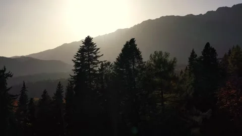 Drone 4k clip of coniferous forest in late autumn on mountain landscape 스톡 동영상 268021389