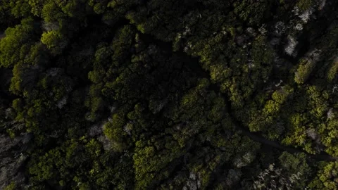 Drone 4k Flying cliff edge into Ocean View in Sintra, Portugal - Downward Angle Stock Footage 169771842