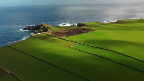 Drone 4K flying over cliff with grazing cows, green fields, and crashing waves Stock Footage 315272948