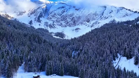 Drone 4K forward flight over snowy alpine forest Stock Footage 329913102