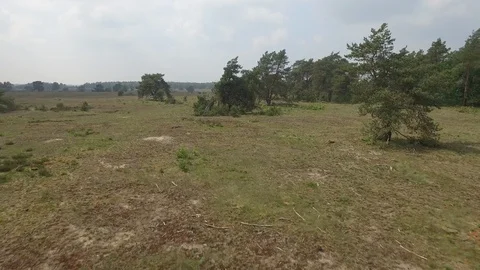 DRONE 4K HEATHER MOOR Stock Footage 102581361