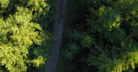 Drone 4K: Topshot of female runner in forrest Vidéo 101366286