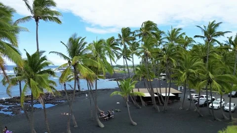 Drone 51 Stock Footage 242538946