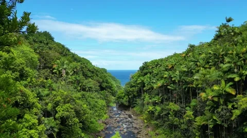 Drone 7 Stock Footage 242535732