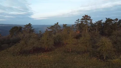 Drone above the forest in autumn Video stock 166383764