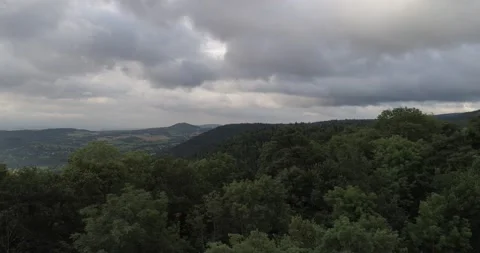 Drone above a forest Stock Footage 131511997