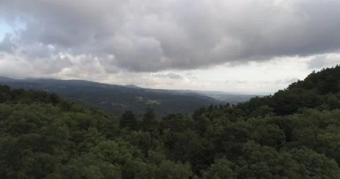 Drone above a forest Stock Footage 131512488