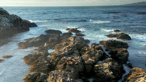 Drone Above Seals at Point Lobos, Central California Beach Coast Stock Footage 127589908