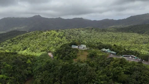 Drone above small white luxury villa building nestled within the dense green Vídeo Stock 337159397
