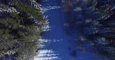 Drone above a snowy forest Stock Footage 131816404