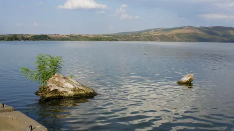 A drone above the water passes tree trunks sticking out of the water Видео 205599536