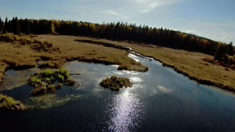 Drone Across a Lake in Alberta Stock Footage 218637408