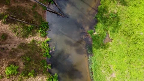Drone acsending with top view over a tiny river u turn in the wild Stock Footage 169929445