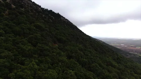 Drone advancing alongside forested hill Video stock 347585310