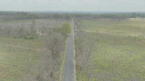 Drone advancing over deforested fields with road crossing vertically, France Vídeos de archivo 333108820