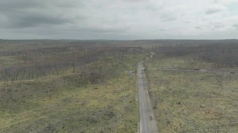 Drone advancing over deforested forest with road crossing vertically, France Видео 333108628