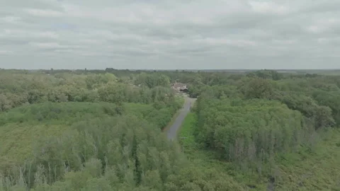 Drone advancing over forest with road through center, France Stock Footage 333108762