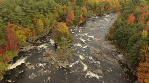 Drone advancing over river in fall showing green and yellow trees Stock Footage 119186484
