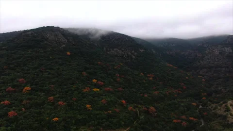Drone advancing toward forests on a hill Video stock 347585296