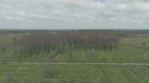 Drone advancing from wide to close-up toward centered forest, France Stock Footage 333107701