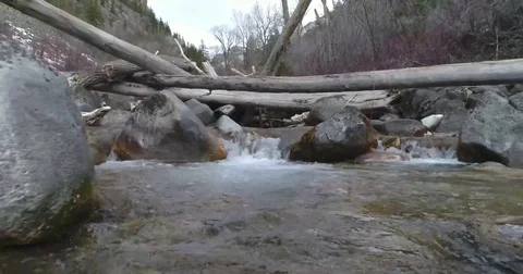 Drone Aerial Along River Through Fallen Trees Stock Footage 79469767