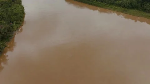 Drone Aerial Of Amazon Rainforest Trees With River And Native Canoe In Stock-Footage 196316001