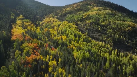 Drone aerial of aspen hillside with fall colors near Frisco Colorado Vídeos de archivo 331557161
