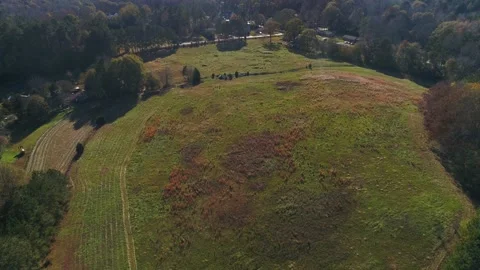 Drone aerial circle view of green open pasture between woods Stock Footage 170841386