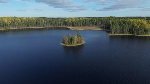 Drone aerial circling a tiny forest island in the middle of a calm lake. Clear Video stock 321691291